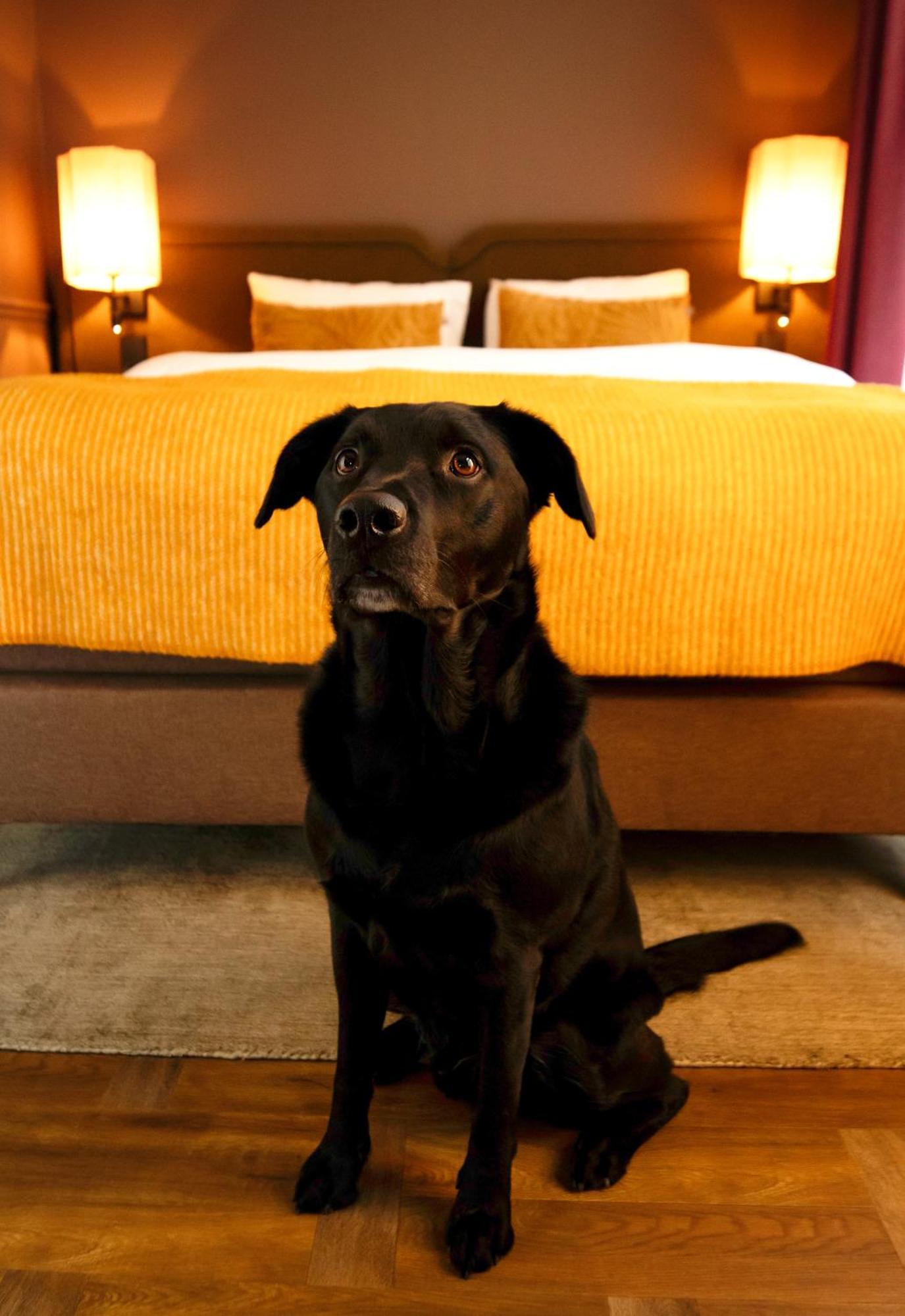 Hotel Paleis Den Haag